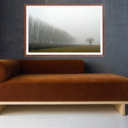 Foto 10 Drvored u magli